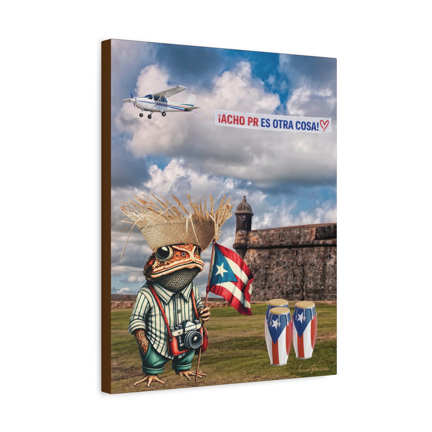 PUERTO RICO ARTE EN CANVAS 16X20 Listo para Colgar | Sapo Concho en el Morro Acho PR es Otra Cosa |4everBoricua