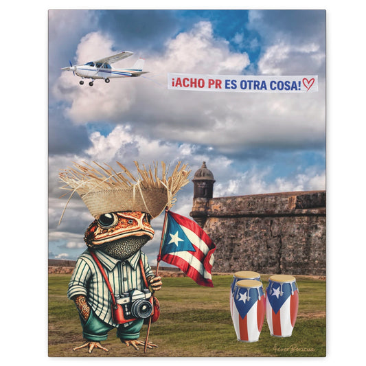 PUERTO RICO ARTE EN CANVAS 16X20 Listo para Colgar | Sapo Concho en el Morro Acho PR es Otra Cosa |4everBoricua